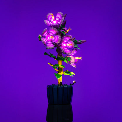 Lichtkit für LEGO® Botanicals Hibiskus #10372