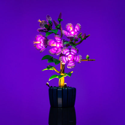 Lichtkit für LEGO® Botanicals Hibiskus #10372