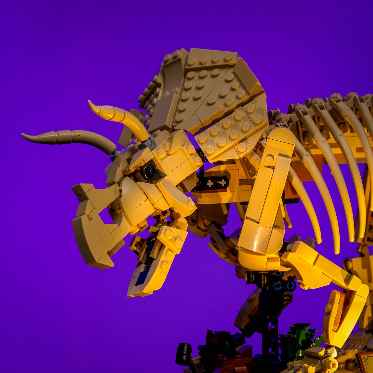 Licht-Kit Für LEGO® Jurassic World Dinosaur Fossils: Triceratops #77985