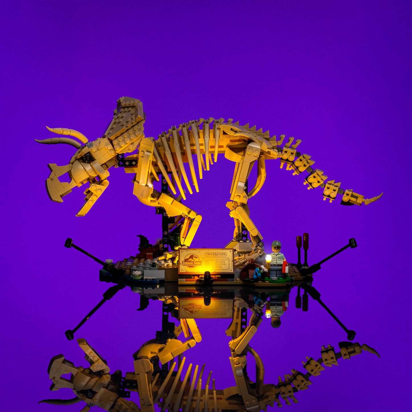 Licht-Kit Für LEGO® Jurassic World Dinosaur Fossils: Triceratops #77985