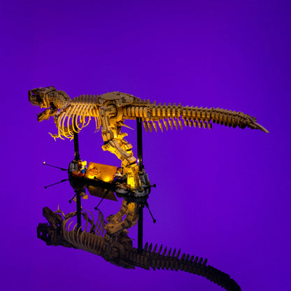 Licht-Kit Für LEGO® Dinosaur Fossils: Tyrannosaurus rex #76968