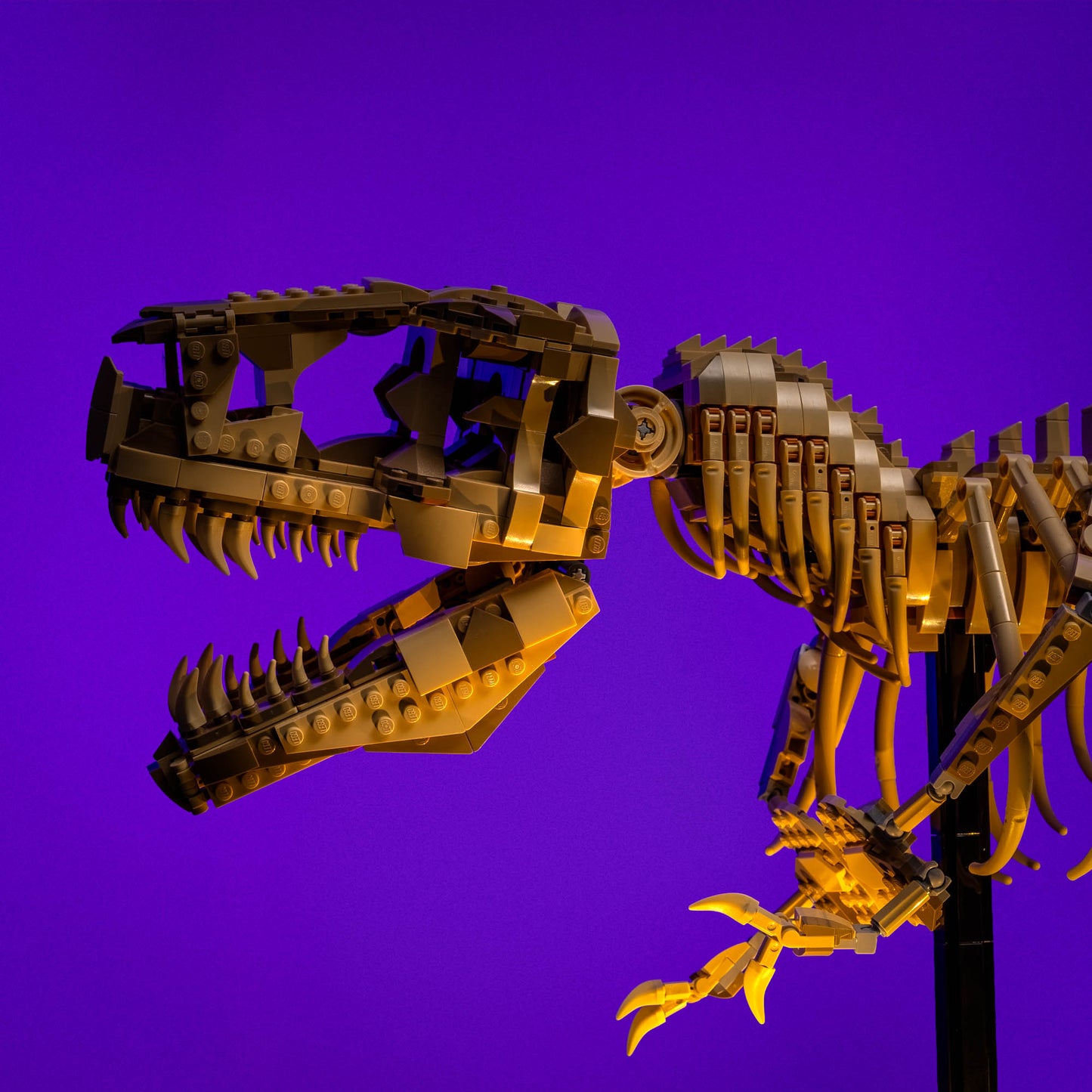Licht-Kit Für LEGO® Dinosaur Fossils: Tyrannosaurus rex #76968