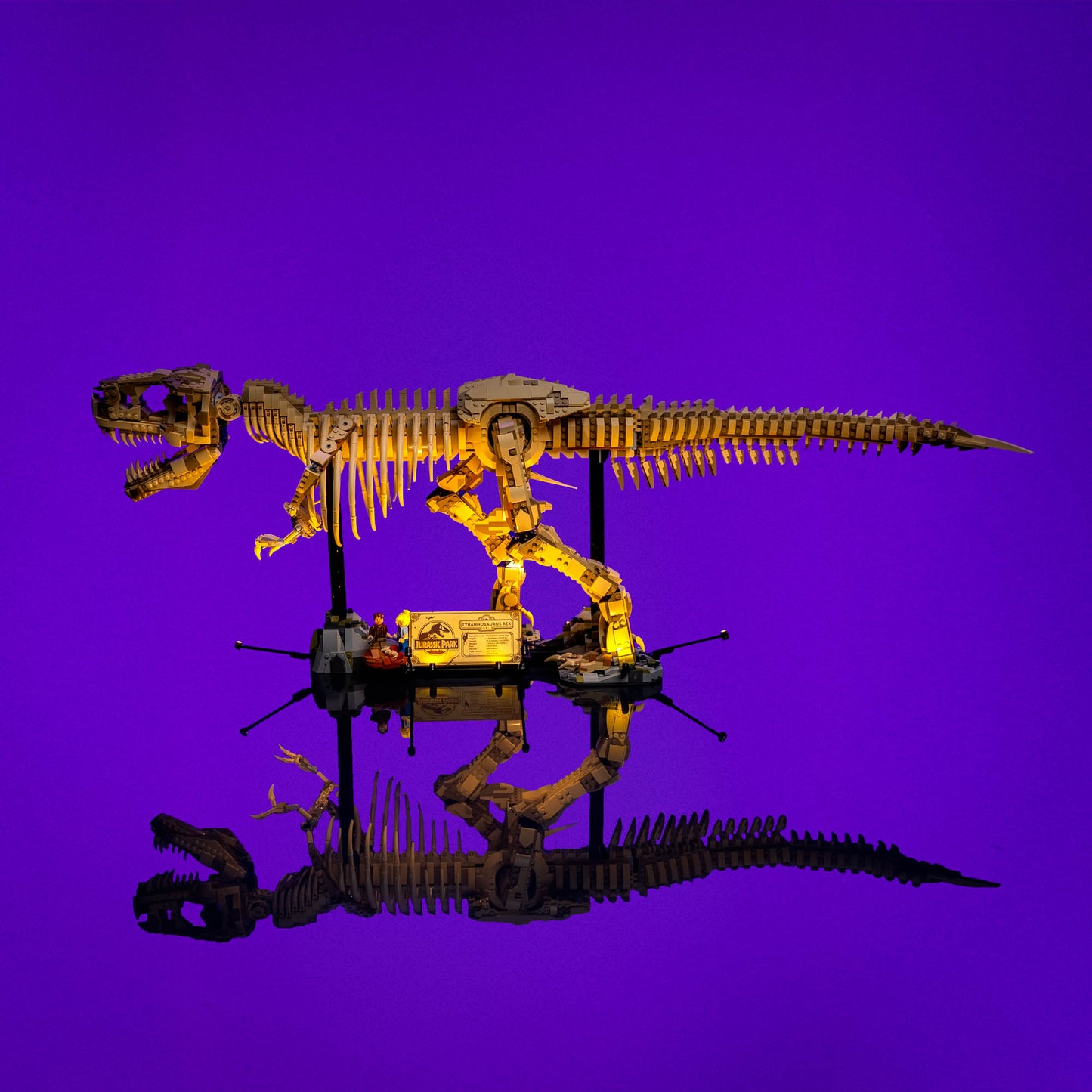 Licht-Kit Für LEGO® Dinosaur Fossils: Tyrannosaurus rex #76968