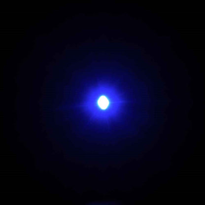 Large Bit Lights (Blue) 30cm - (4 pack)