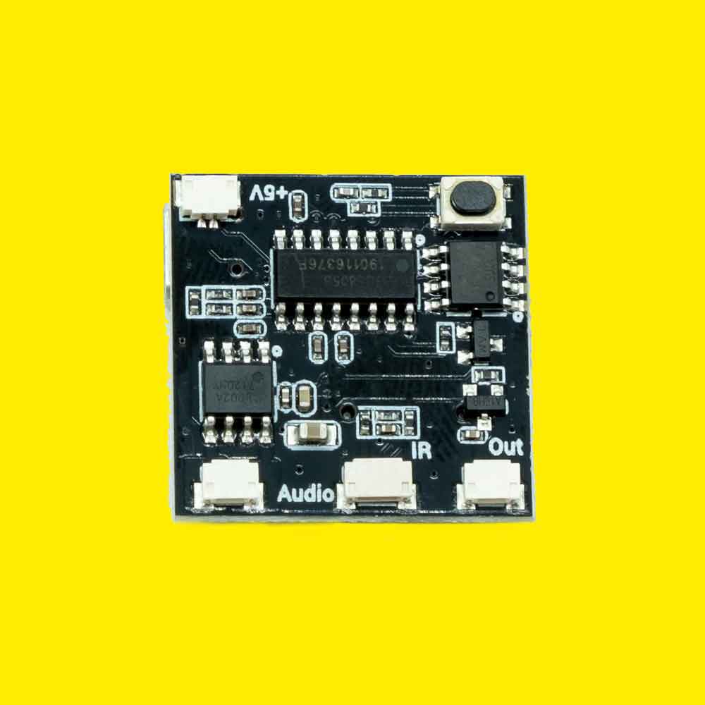 Remote Control & Sound Board (Control Board Only)