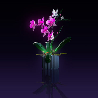 LMB 2.0 Light Kit for LEGO® Orchid #10311