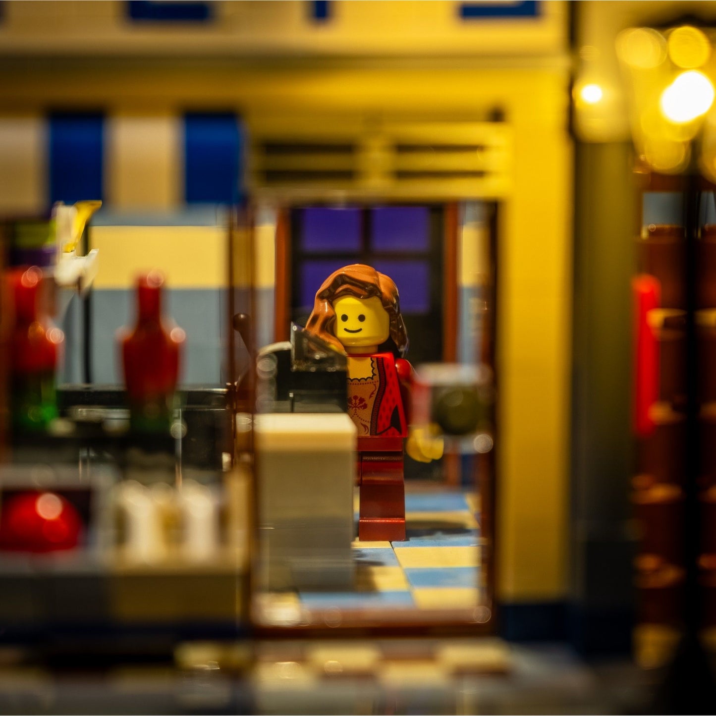 Lichtkit für LEGO® Tiergeschäft #10218