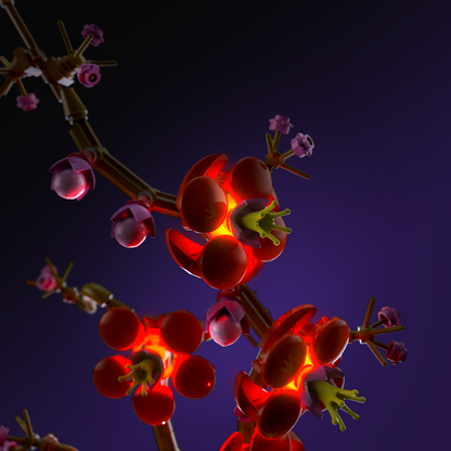 LMB 2.0 Light Kit for LEGO® Plum Blossom #10369