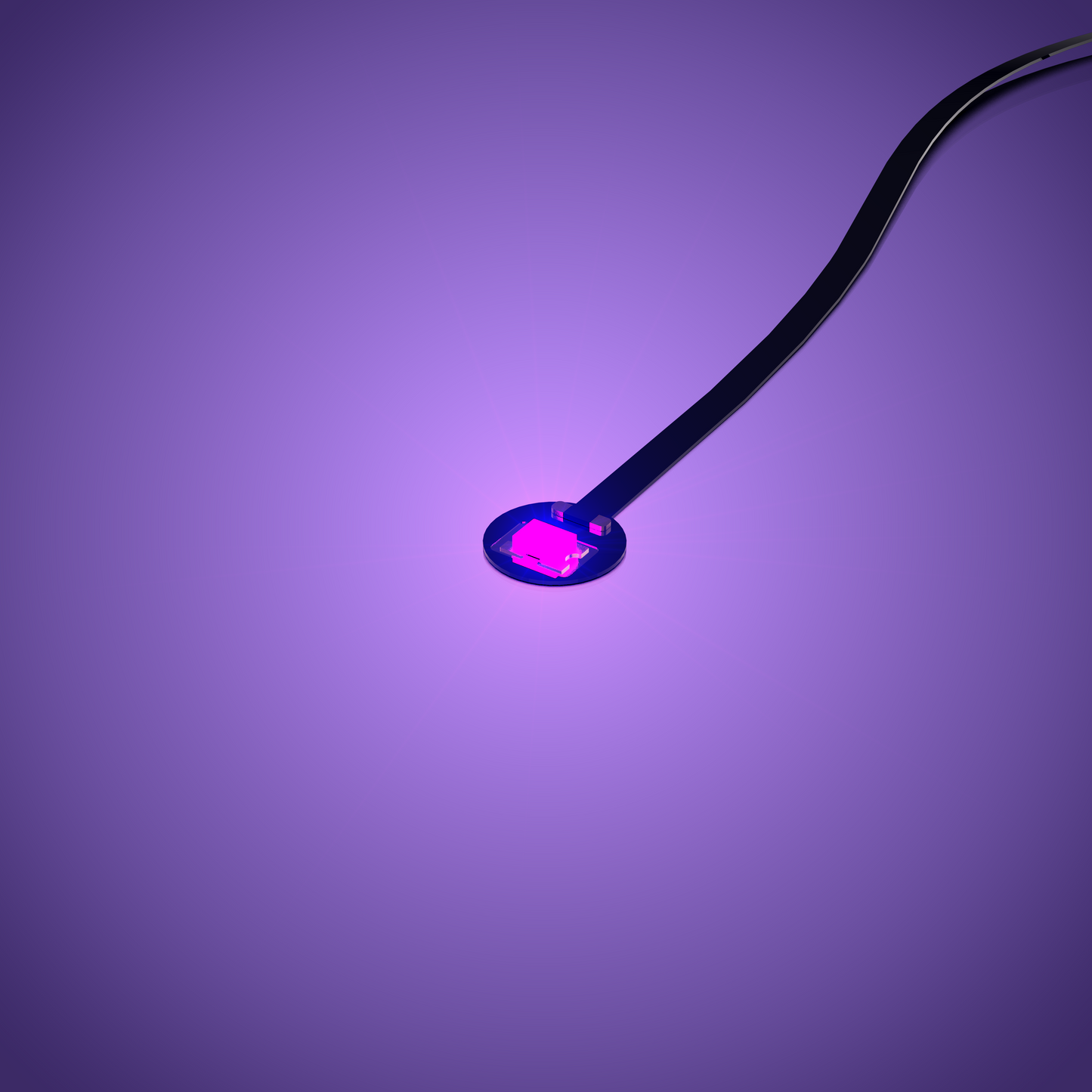 LMB 2.0 Astro Light Regular - Purple 30cm (4 Pack)