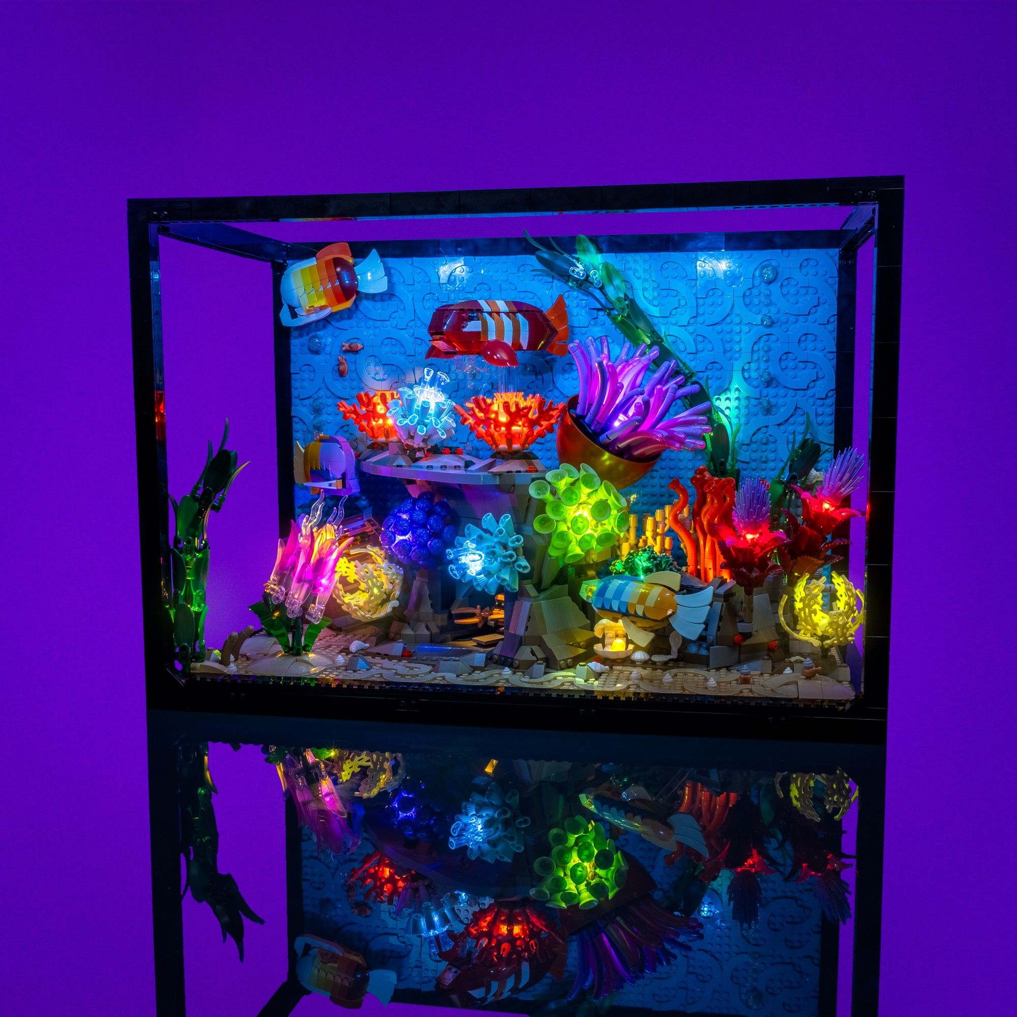 Tropical_Aquarium_10366-