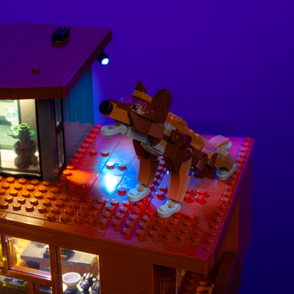 Licht-Kit für LEGO® Twilight The Cullen House #21354